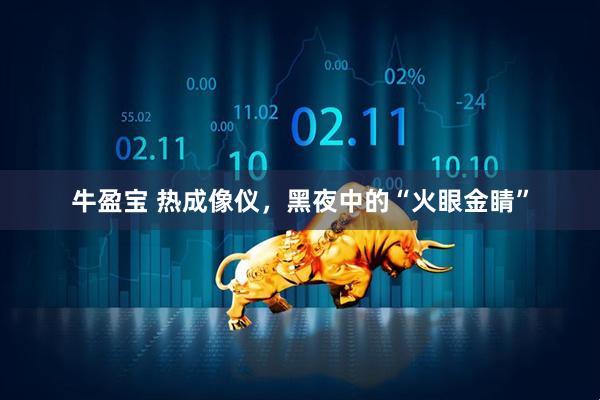 牛盈宝 热成像仪，黑夜中的“火眼金睛”