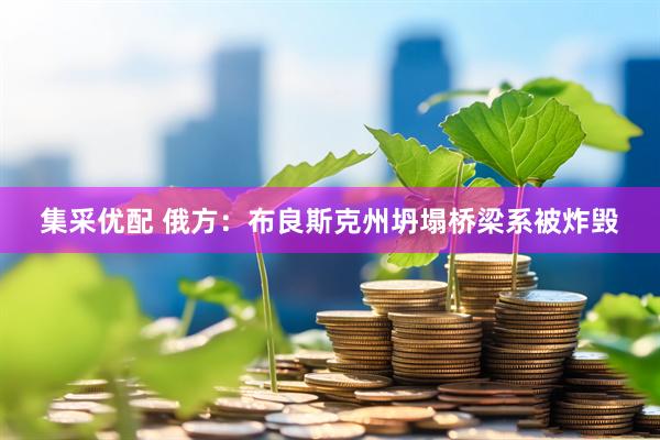 集采优配 俄方：布良斯克州坍塌桥梁系被炸毁