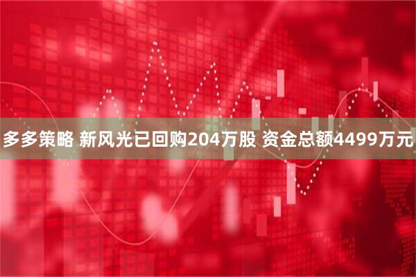多多策略 新风光已回购204万股 资金总额4499万元