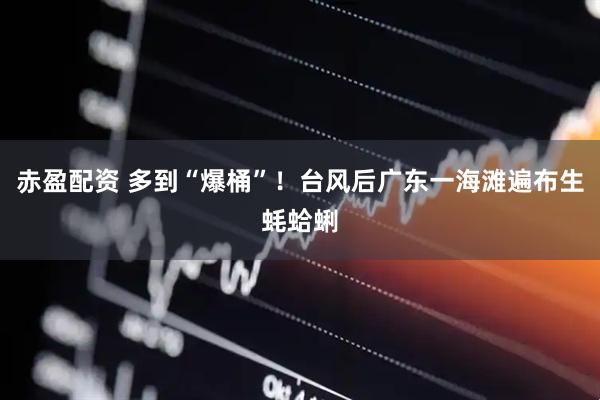 赤盈配资 多到“爆桶”！台风后广东一海滩遍布生蚝蛤蜊