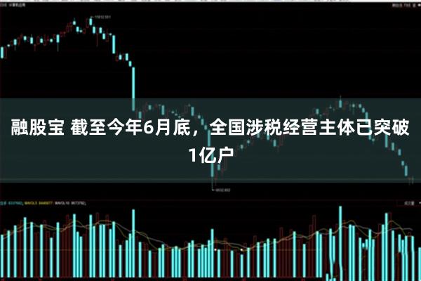 融股宝 截至今年6月底，全国涉税经营主体已突破1亿户