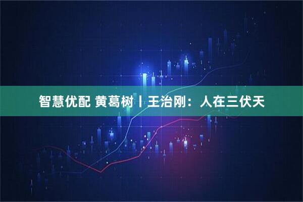 智慧优配 黄葛树丨王治刚：人在三伏天