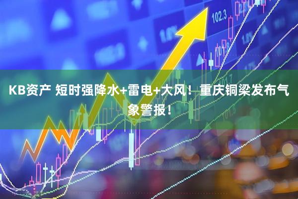 KB资产 短时强降水+雷电+大风！重庆铜梁发布气象警报！