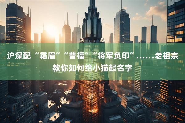 沪深配 “霜眉”“普福”“将军负印”……老祖宗教你如何给小猫起名字