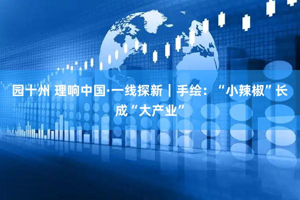 园十州 理响中国·一线探新｜手绘：“小辣椒”长成“大产业”