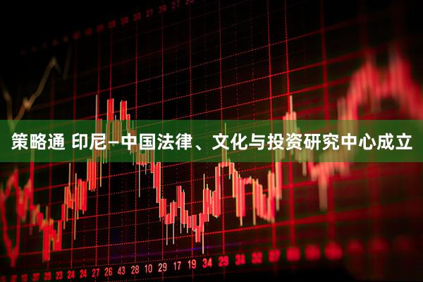 策略通 印尼—中国法律、文化与投资研究中心成立